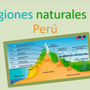 Captura de pantalla 2021-11-18 201857 Las 8 regiones en álbumes