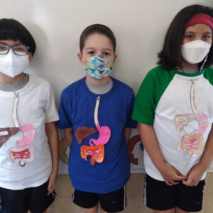 3°C - SISTEMA DIGESTIVO Tercer grado: El sistema digestivo