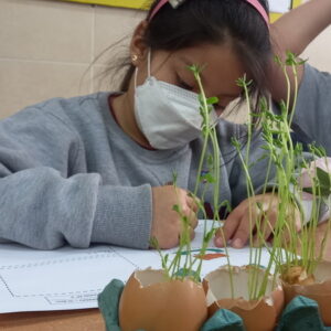 1C 1 02 Indagamos sobre las plantas